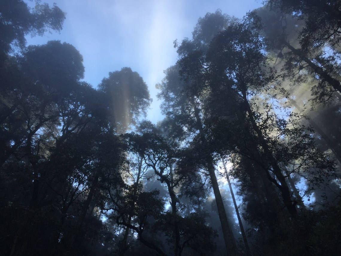 Ultratrail El chico Hidalgo-2